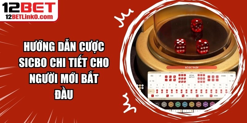 Hướng Dẫn Cược Sicbo